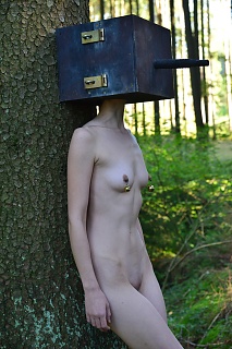 The box on the tree